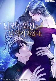 Cover of My Husband Never Wanted a Child
