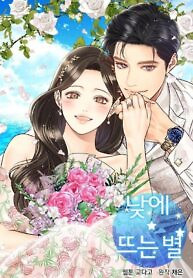Cover of Daytime Star