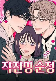 Cover of Pure Love Operation