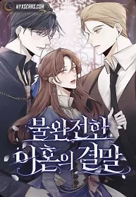Cover of The End of an Imperfect Divorce