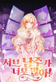 Cover of There Are Too Many Second Male Leads
