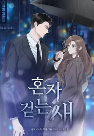 Cover of Solitary Bird