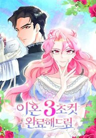 Cover of Divorce Will Be Completed in 3 Seconds