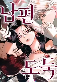 Cover of Husband Thief