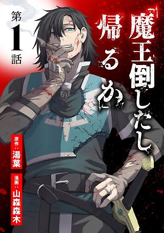 Cover of We Beat The Demon Lord So Let’s go Home