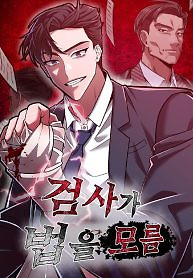 Cover of The Prosecutor Doesn’t Know The Law