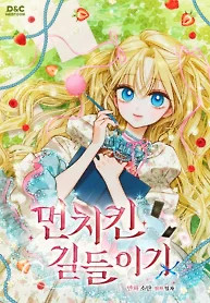 Cover of Taming The Munchkin