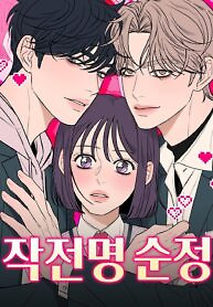 Cover of Operation Name Pure Love