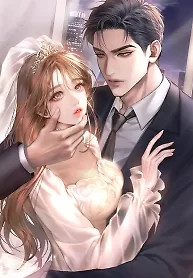 Cover of The Young Wife