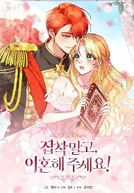 Cover of Let’s Divorce, Not Obsess!