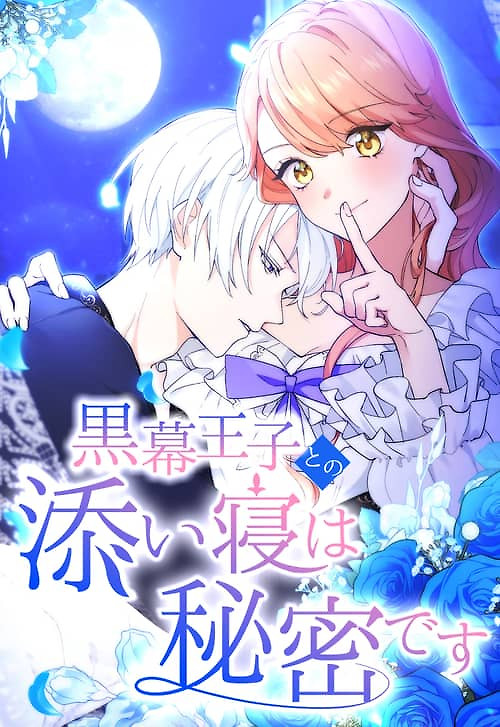 Cover of The Night I Spend With the Mastermind Prince Is My Secret