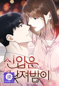 Cover of Newcomers Turn Low at Night