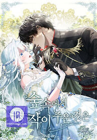 Cover of The duke picked up something in the forest