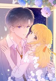 Cover of The Stars and I