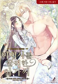 Cover of The Girl Who Swallowed the Wizard