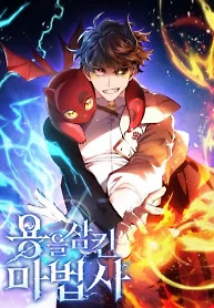 Cover of Dragon-Devouring Mage