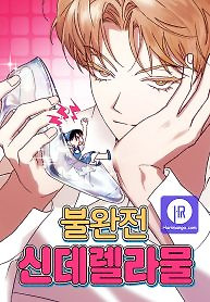 Cover of Imperfect Cinderella Story