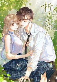 Cover of Folding The Moon