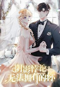 Cover of Shadow Paradox: The Incapable to Possess You