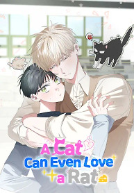 Cover of A Cat Can Even Love a Rat