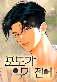 Cover of Before The grapes Ripen