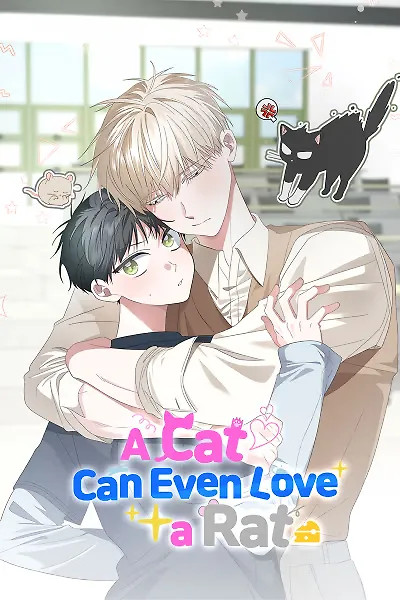 Cover of A Cat Can Even Love a Rat