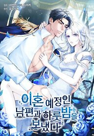 Cover of I Spent the Night with My Soon-to-be Ex-Husband