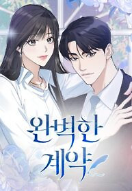 Cover of Perfect Contract