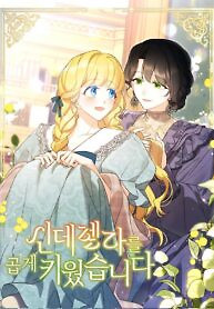 Cover of A Wicked Tale of Cinderella’s Stepmom