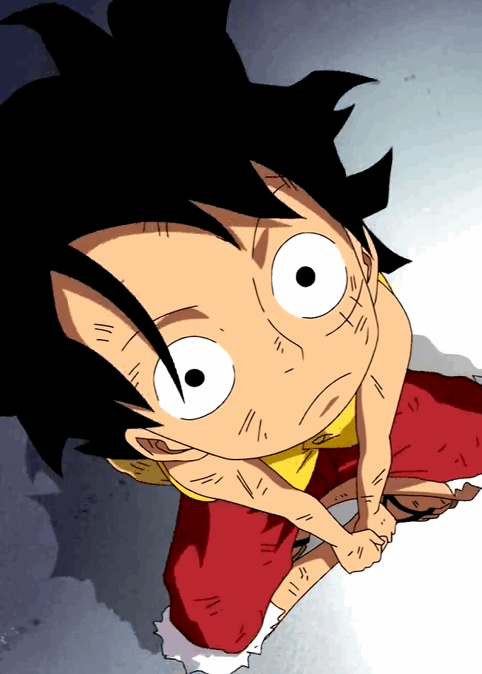 Cover of One Piece