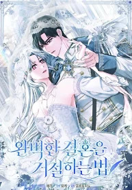 Cover of Rejecting The Perfect Marriage