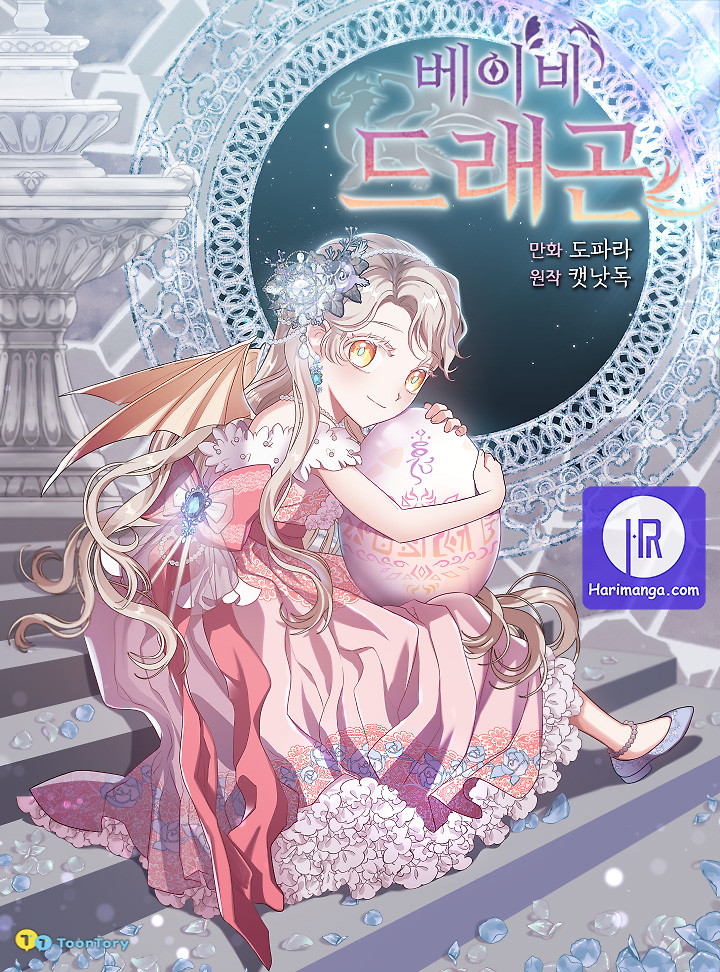 Cover of Baby Dragon