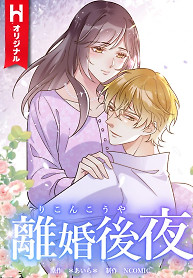 Cover of The Night After the Divorce